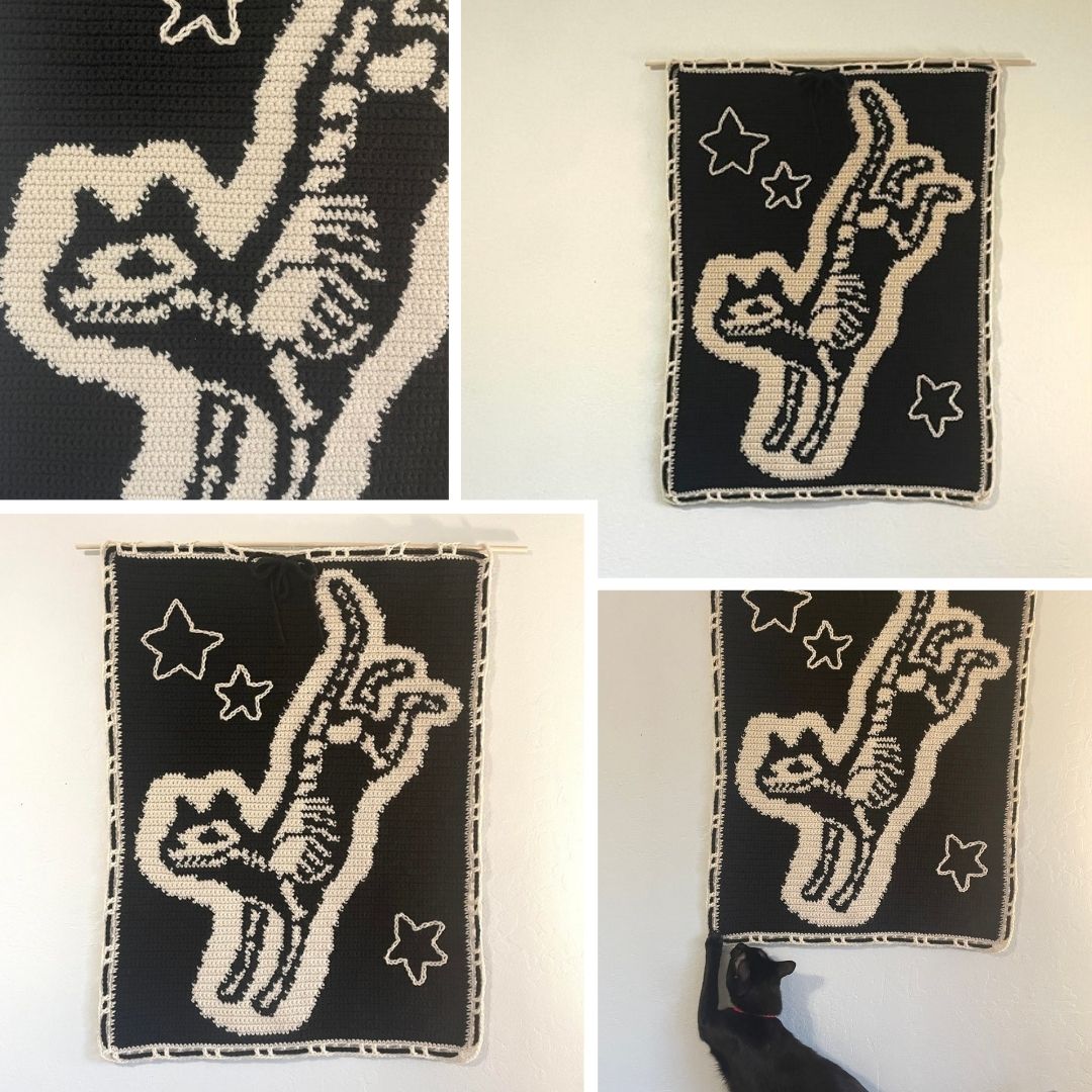 X-Ray Kitty Tapestry Crochet Pattern