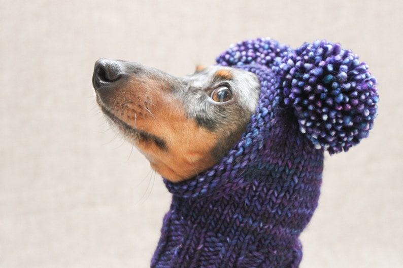 Chunky Double Pom-Pom Dog Hat Knitting Pattern