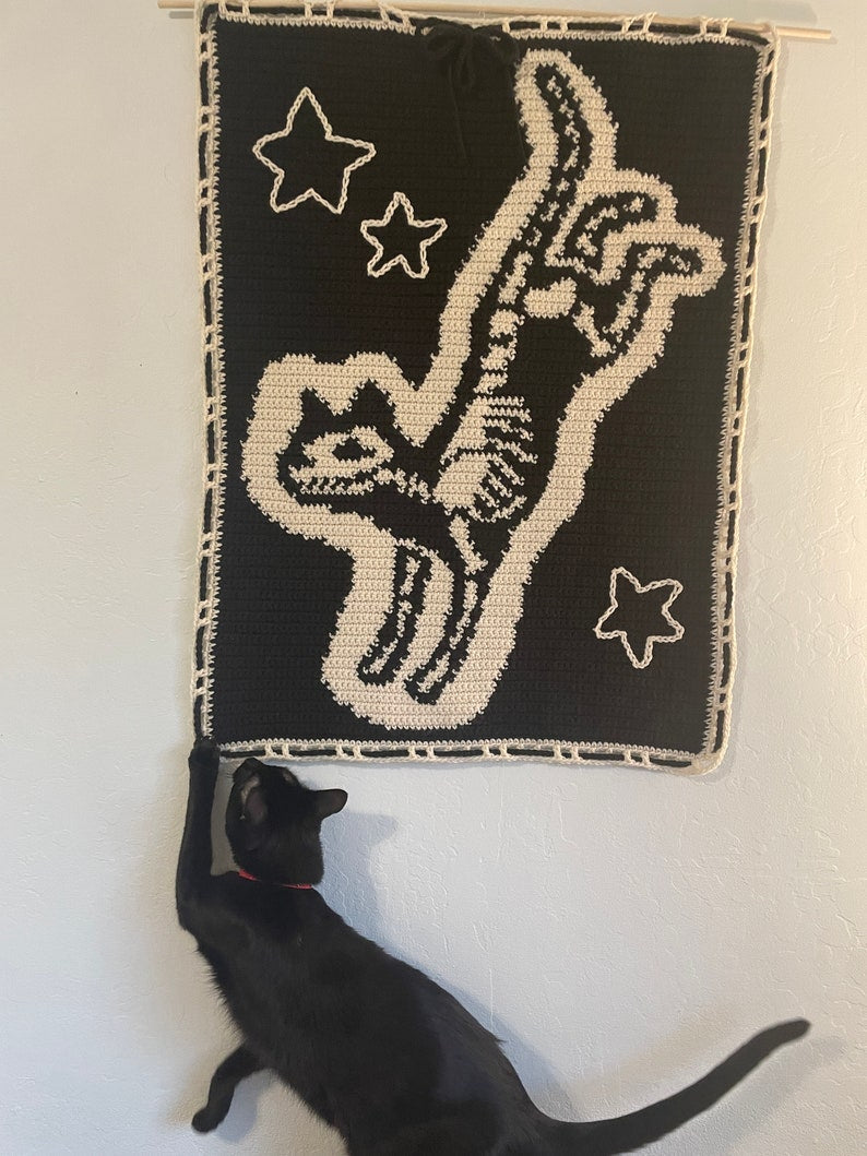 X-Ray Kitty Tapestry Crochet Pattern